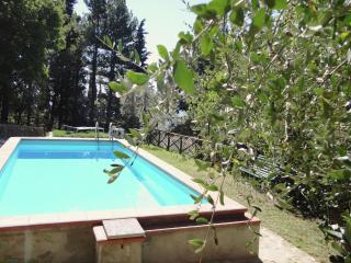 Apartment Tuscany near Pratomagno Mountain - 5