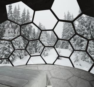 SKOG - Aurora Igloos Resort - Kalix - 9