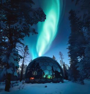 SKOG - Aurora Igloos Resort - Kalix - 3