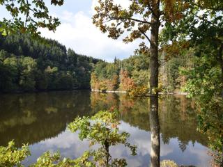 Nature Escape in Martelange - Radelange - 5