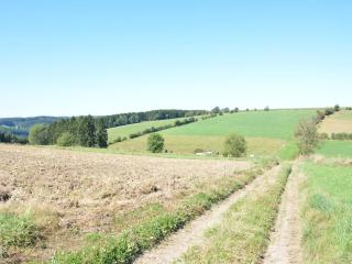 Nature Escape in Martelange - Radelange - 3