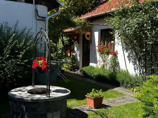 Magnolia Garden - Miskolc - 5