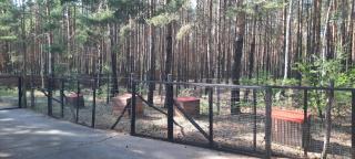 Waldcamp Hundeparadies - - 8