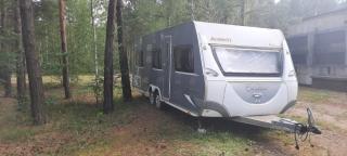 Waldcamp Hundeparadies - - 7