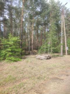 Waldcamp Hundeparadies - - 4