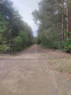 Waldcamp Hundeparadies - - 3