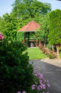 Apartman Mina 4 - Vrdnik - 9