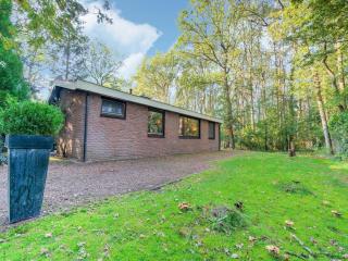 Holiday Home in Zorgvlied near Drents - 2