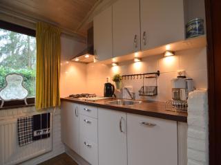 Holiday Home in Zorgvlied near Drents - 8