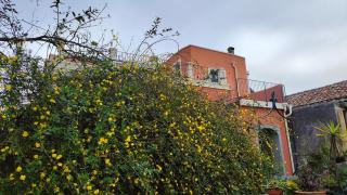 Tenuta Arcidiacono - Etna, Wine, Country & Relax - 8