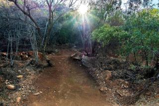 #AlimamaSpaces The Chelsea's Thaba Echo - Johannesburg - 5