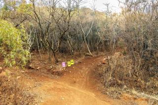 #AlimamaSpaces The Chelsea's Thaba Echo - Johannesburg - 3