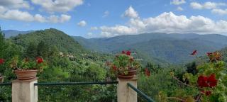 House With Panoramic Terrace - Longoio - 3