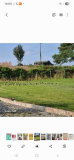 Tent space on grass showers & toilet inside - Rosenallis - 5