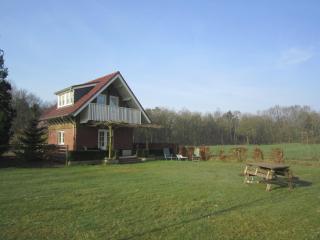 Holiday Home in Well near Maasduinen Park - 5