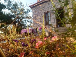 Stone house in nature, 10 minutes to the city, on the peak - Çanakkale - 9