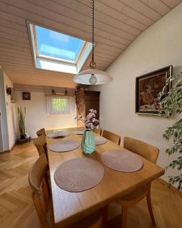 Haus direkt am Rheinfall in Neuhausen 10min - Neuhausen am Rheinfall - 0