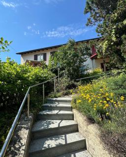 Haus direkt am Rheinfall in Neuhausen 10min - Neuhausen am Rheinfall - 9