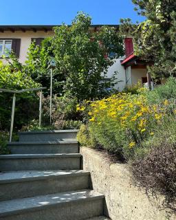 Haus direkt am Rheinfall in Neuhausen 10min - Neuhausen am Rheinfall - 7