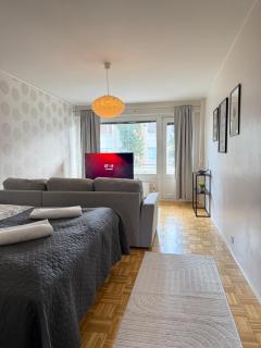 Cosy downtown apartment with balcony - Jyväskylä - 9