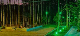 3 Seasons Homestay Chikmagalur - 5