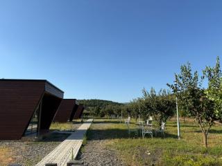 Shtegu I Gjelber- Wood Rooms - - 0