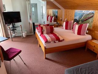 Ruhige Zimmer im Grünen und Studio im Naherholungsgebiet - Sigigen - 9