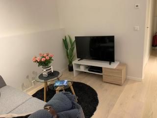North Estate NT7 ap1 - 7