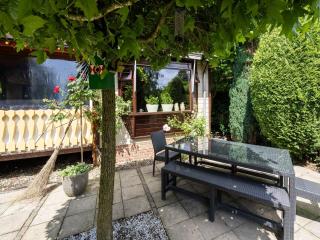 Chalet in Stegeren near Forest and Pond - Stegeren - 4