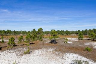 Living the Dream - Gulf Shores - 8