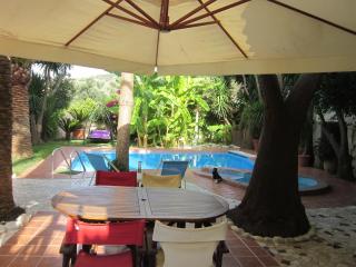 Villa in Giannoudi with Pool and Beach Nearby - 2