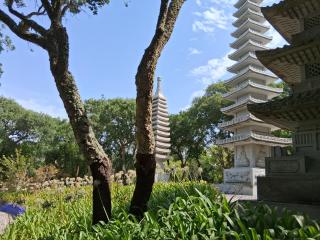 Filipe´s House - 7