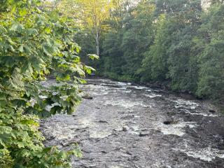 Villa Mörrum River - 9