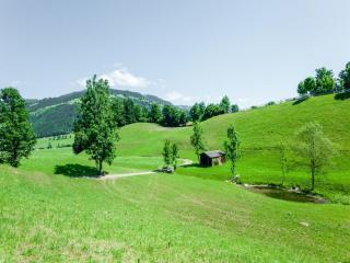 Apartment near Gondola in Tyrol - Holzham - 6