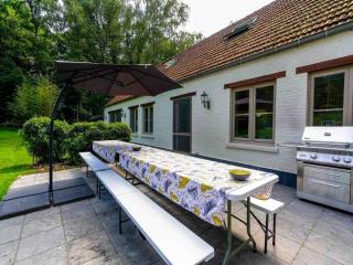 Renovated farm with heated pool - 3