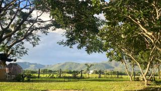 Baan PhuriChaya Doi Saket Chiang Mai Peaceful Stay with Mountain and Rice Field View - - 9