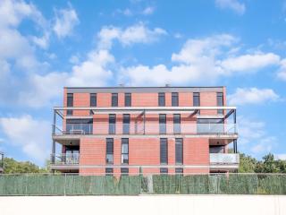 Apartment in Cirueña with Vineyards View - 5