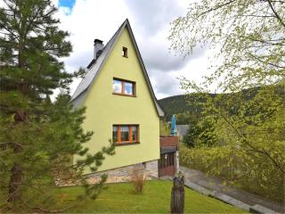 Mountain Hideaway in Wildenthal - 7