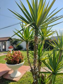 Villa Civetta tra Roma e i Castelli Romani - 5