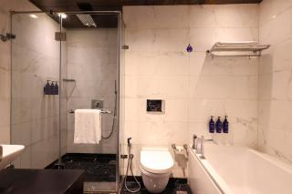 Radisson Blu Hotel New Delhi Paschim Vihar - Neu-Delhi - 9