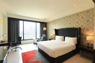 Radisson Blu Hotel New Delhi Paschim Vihar - 4