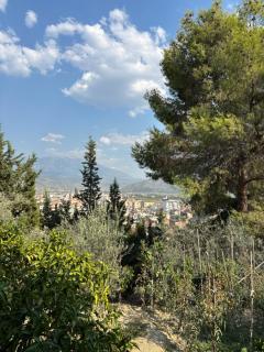 Rama Guest House - Berat - 2
