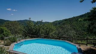 Les hôtes du châtaignier - 4