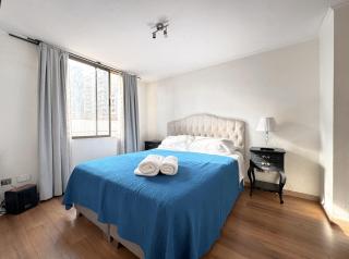Cómodo Apartamento Santiago, Clínica UC, gran ubicación - 8