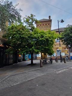 2BR spacious garden flat near Herne Hill station - 1