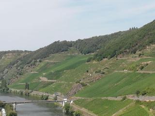 Neumagen-Dhron Retreat - 5