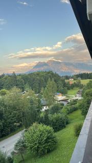 Steinbock Apartement - Bad Goisern - 2