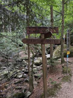 Ferienwohnung Ysperklamm - Yspertal - 9