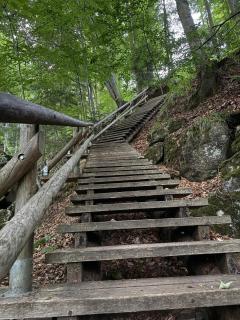 Ferienwohnung Ysperklamm - Yspertal - 4