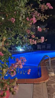 Hotel Schiller - Cervia - 1